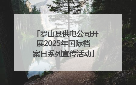 罗山县供电公司开展2025年国际档案日系列宣传活动